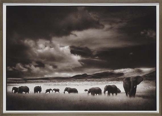 Nick Brandt - Elephant Herd, Serengeti - Image du cadre