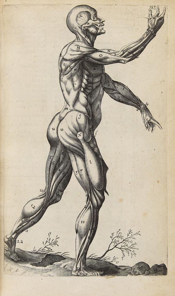 André DuLaurens - Historia anatomica. 1600