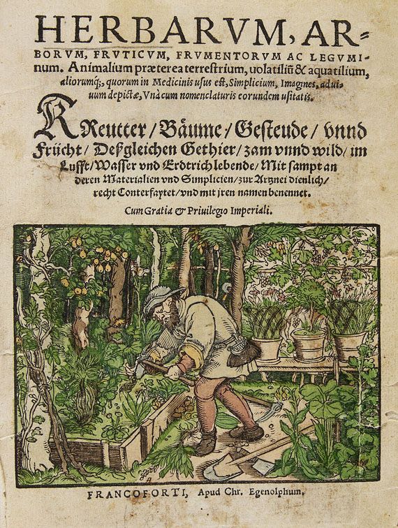   - Herbarum, arborum, fruticum, frumentorum. 1552