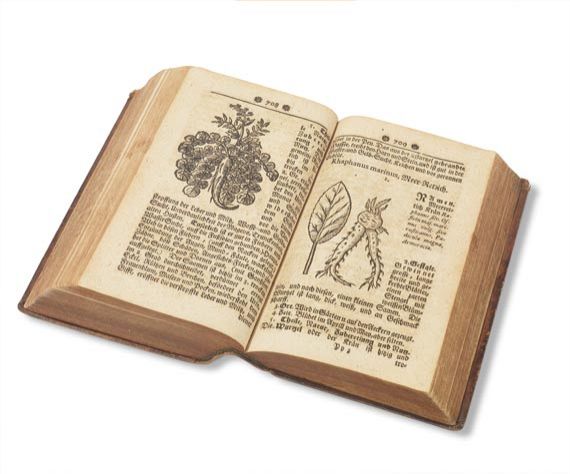 Samuel Müller - Curioser Botanicus, Oder: Sonderbahres Kräuter-Buch. 1730 - Autre image