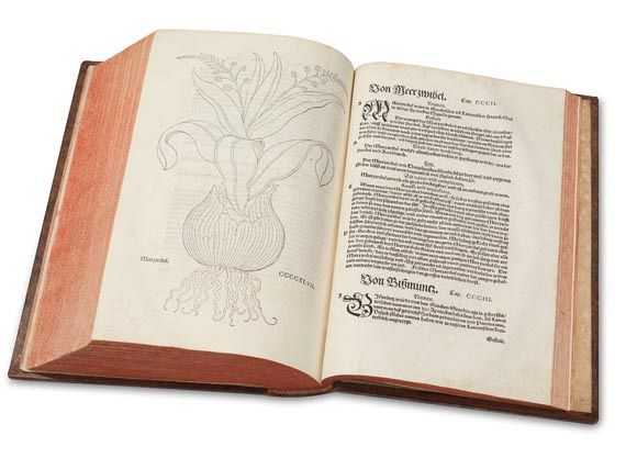Leonhart Fuchs - New Kreüterbuch. 1543 - Autre image