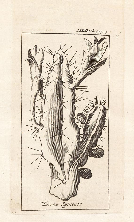 Jean Baptiste Labat - Nieuwe Reisen, 4 in 2 Bdn. 1725 - Autre image