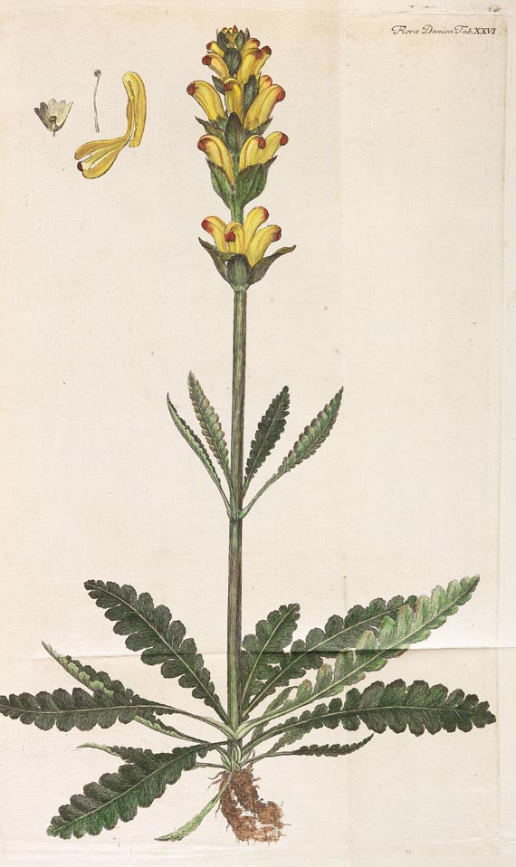 Georg Christian Oeder - Flora Danica, 1766, 29 Hefte in 15 Bdn. - Autre image