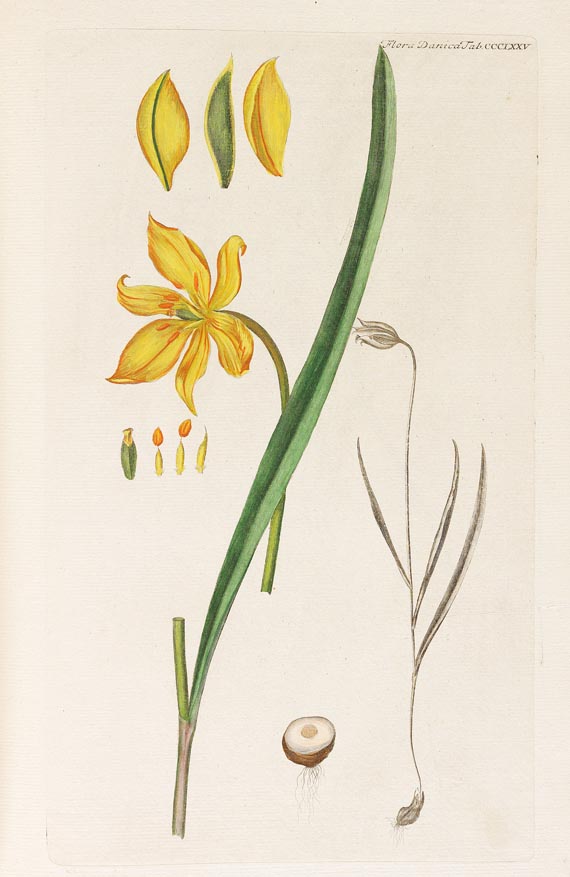 Georg Christian Oeder - Flora Danica, 1766, 29 Hefte in 15 Bdn. - Autre image
