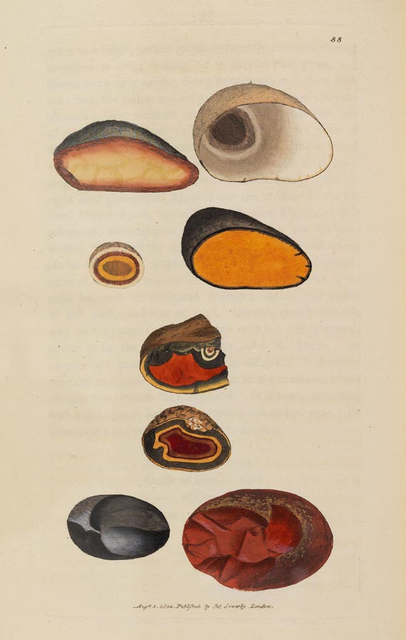 James Sowerby - British Mineralogy, Bd. 1, 1804 - Autre image