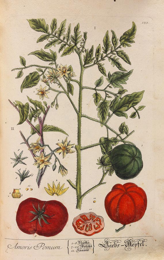 Elisabeth Blackwell - Kräuterbuch (1750-1765) - Autre image