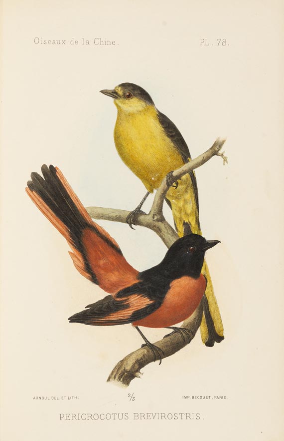 Armand David - Oustalet, Les oiseaux de la Chine. 1877. 2 Bde. - Autre image
