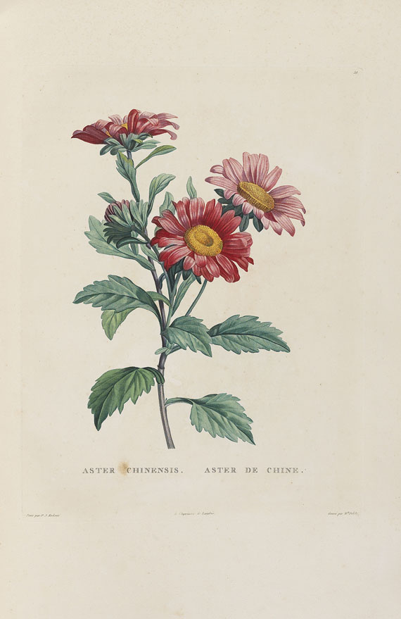 Jean-Jacques Rousseau - La botanique, 1805. - Autre image
