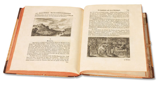 Chr. C. Lorenz Hirschfeld - Theorie der Gartenkunst 5 Bde. (1779-1785) - Autre image