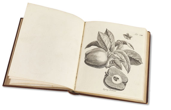 Henri Louis Duhamel du Monceau - Abhandlung von den Obstbäumen. 1775-83. 3 Bde. - Autre image