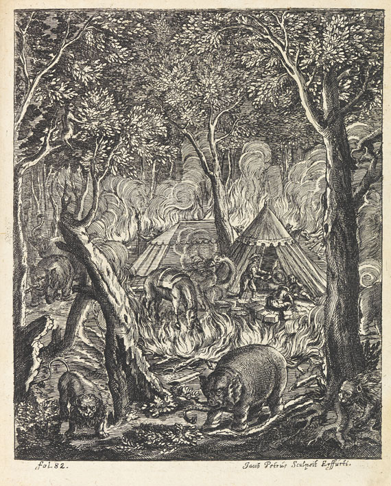 Petri von Hartenfels - Elephantographia curiosa. 1715. - Autre image