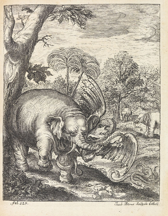Petri von Hartenfels - Elephantographia curiosa. 1715. - Autre image