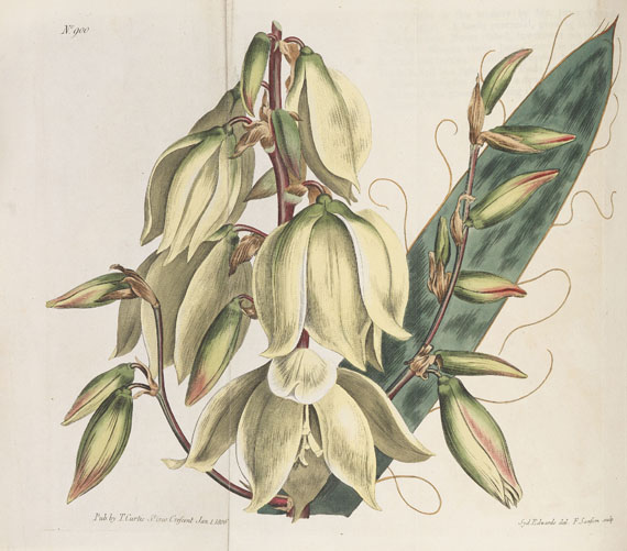 William Curtis - The Botanical Magazine. 46 Bde. 1787-1842. - Autre image