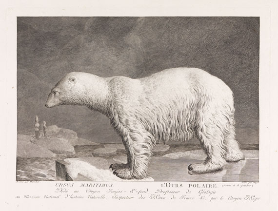 B. G. E. de Lacépède - La ménagerie du Museum National d`Histoire Naturelle. 1800-1801. - Autre image