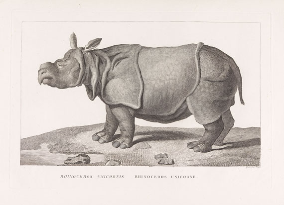 B. G. E. de Lacépède - La ménagerie du Museum National d`Histoire Naturelle. 1800-1801. - Autre image