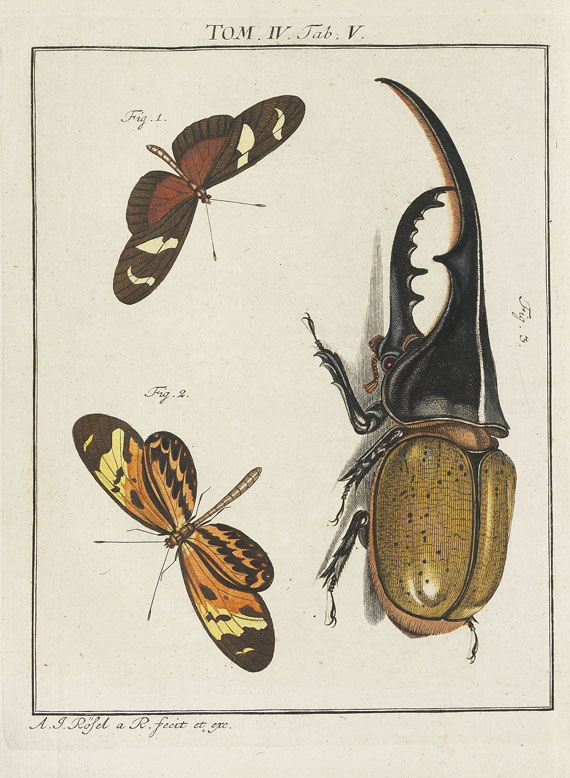 August J. Rösel von Rosenhof - Insecten-Belustigung. 4 Bde. 1759-92 - Autre image