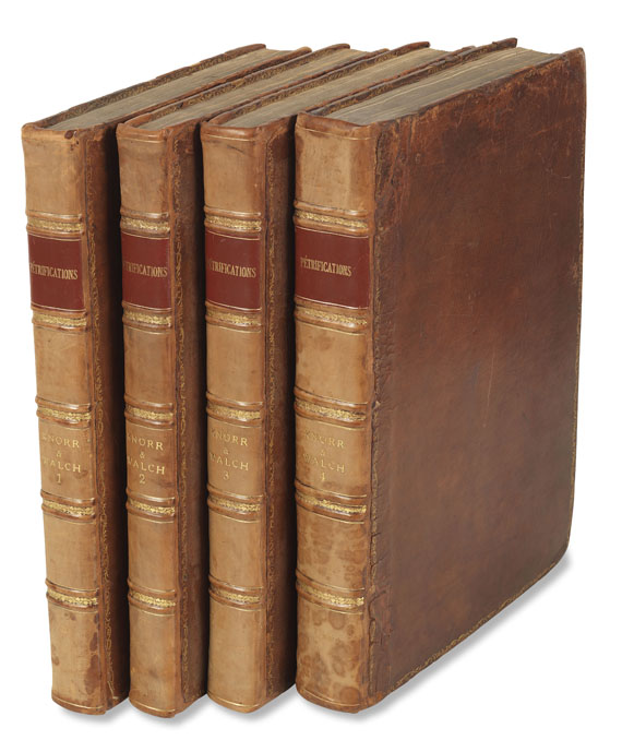 Georg W. Knorr - Recueil des monumens des catastrophes. 4 Bde. 1768-1778 - Autre image