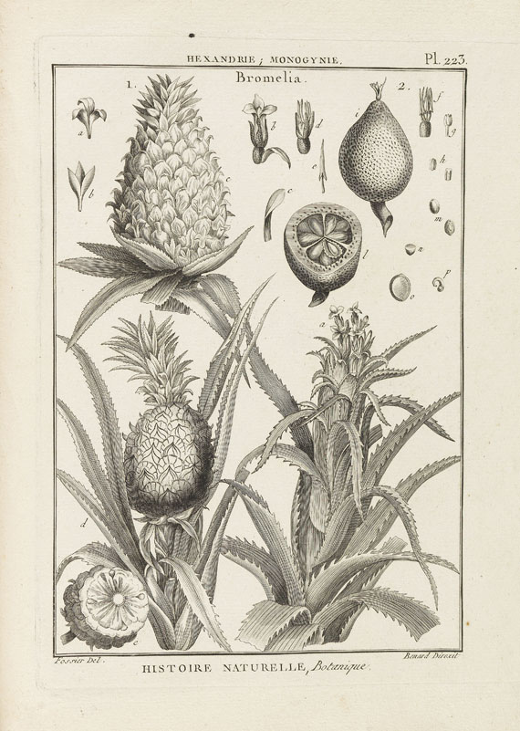 J. B. A. P. Monnet de Lamarck - Tableau Encyclopedique et methodique. 10 Bde. 1791-1823. - Autre image