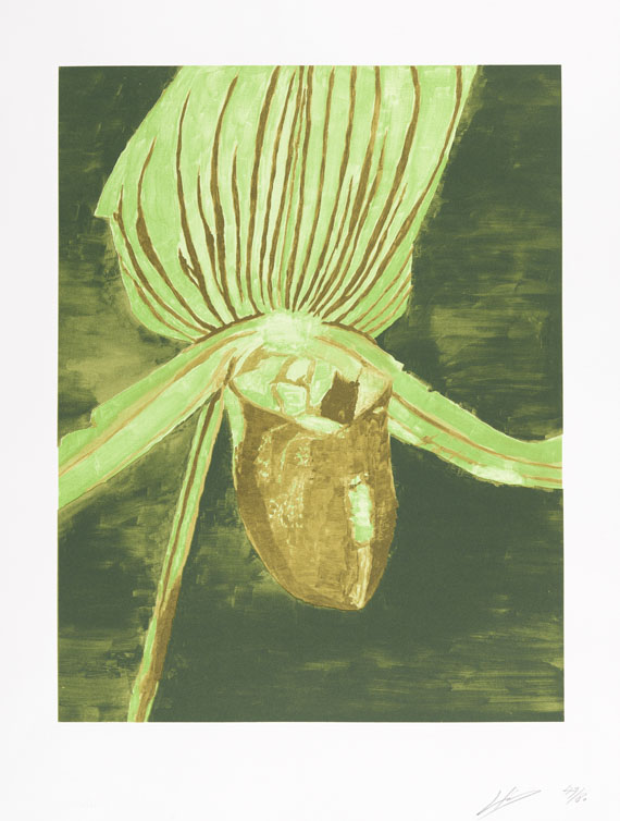 Luc Tuymans - Orchid