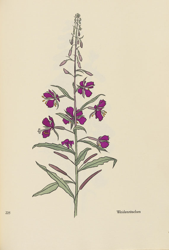 Rudolf Koch - Das Blumenbuch - Autre image