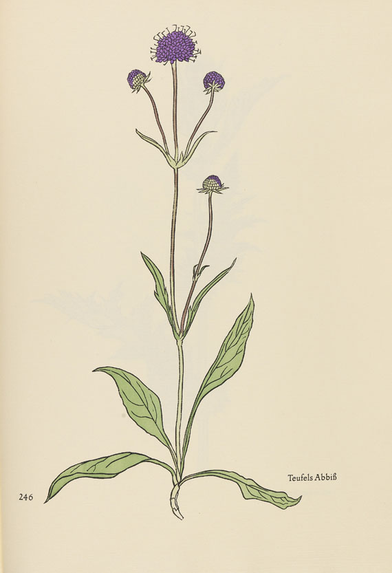 Rudolf Koch - Das Blumenbuch - Autre image