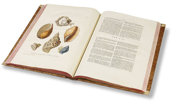 Georg Wolfgang Knorr - Deliciae Naturae Selectae, 2 Bde. - Autre image