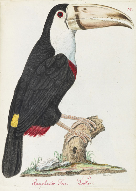 Joachim J. Nepomuk Spalowsky - Beytrag zur Naturgeschichte der Vögel. Bd. I-IV, zus. 4 Bde. - Autre image