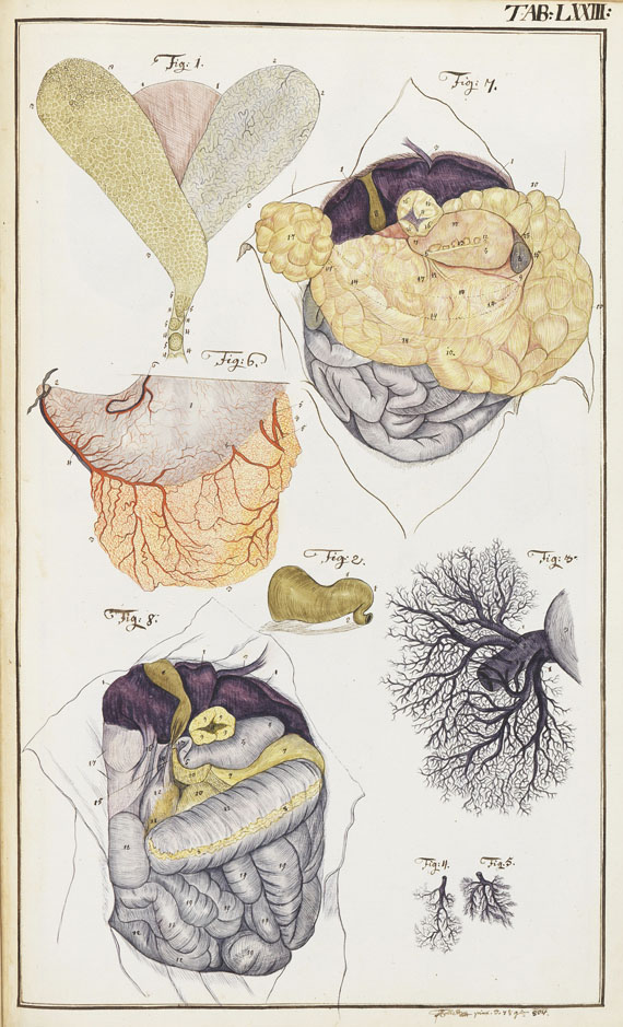Ferdinand Justus Christian Loder - Anatomische Tafeln. 2 Bde. - Autre image