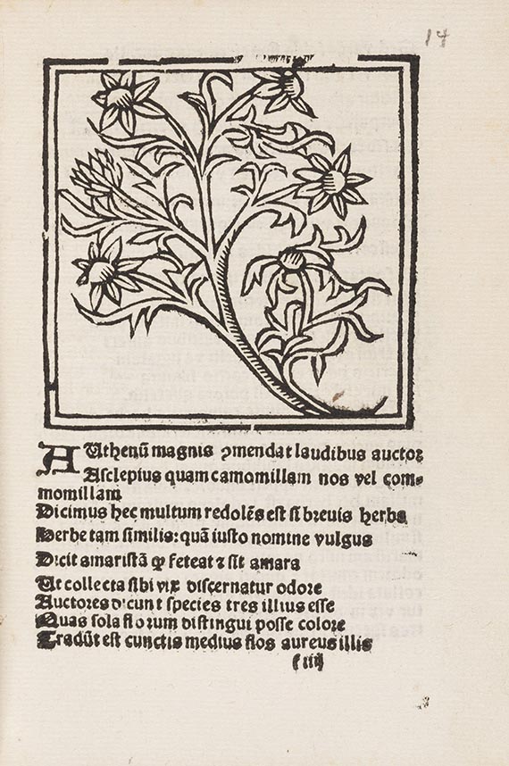  Macer Floridus - Herbarum varias - Autre image