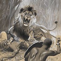 Tiere