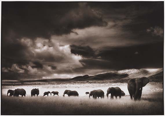 Nick Brandt - Elephant Herd, Serengeti