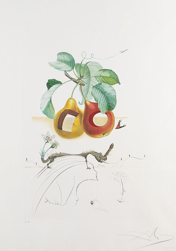 Salvador Dalí - Fruits troués