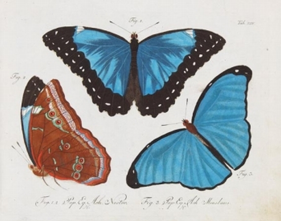Carl Gustav Jablonsky - Natursysteme aller Insecten. 6 Bde. 1783.