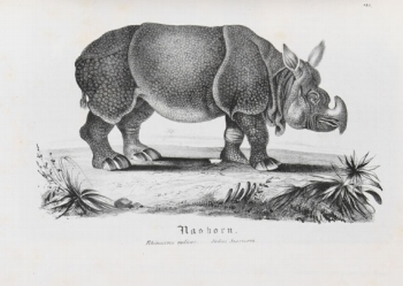 Heinrich Reichert - Naturgeschichte. 1837