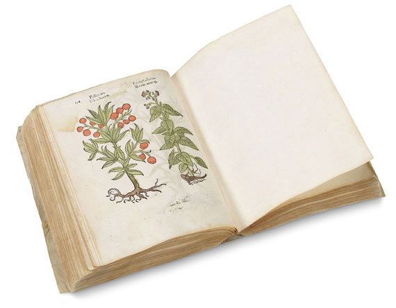   - Herbarum, arborum, fruticum, frumentorum. 1552 - Autre image