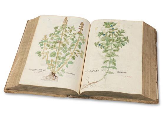 Leonhart Fuchs - De Historia stirpium. 1542. - Autre image