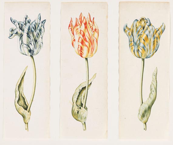 Anthony I Claesz. - Zugeschrieben - Drei Tulpenstudien