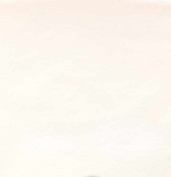 Ernst Ludwig Kirchner - Berglandschaft mit Edelweiß - Autre image