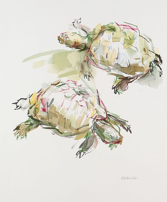 Oskar Kokoschka - Schildkröten