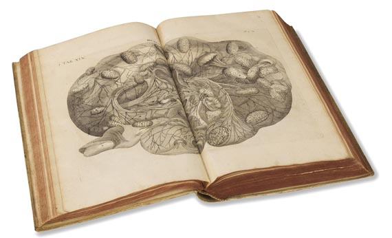 Hieronymus Fabricius ab Aquapendente - Opera omnia anatomica et physiologica. Leipzig 1687 - Autre image