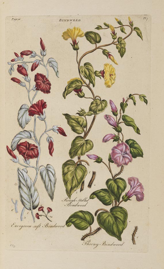 John Hill - Vegetable System. 13 Bde. 1775 - Autre image