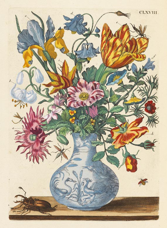 Maria Sibylla Merian - De europische Insecten. 1730 - Autre image