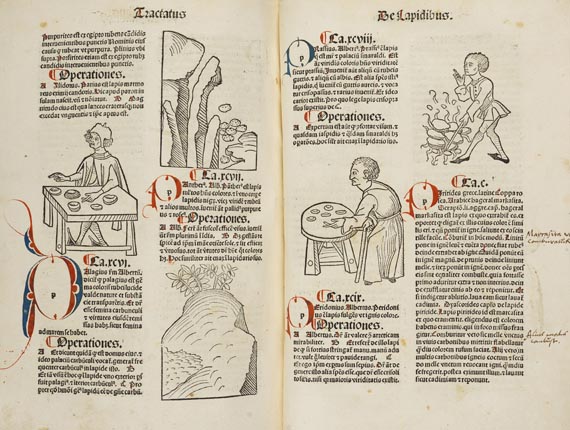 Hortus Sanitatis - Hortus sanitatis. 1491   26(S9)