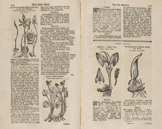 Theodor Zwinger - Theatrum Botanicum. 1744