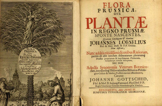 Johannes Loeselius - Flora Prussica. 1703.