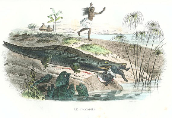Bernard Germain E. de Lacépède - Histoire naturelle. 2 Bde. 1844.