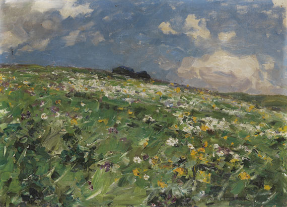 Alexander Koester - Sommerwiese