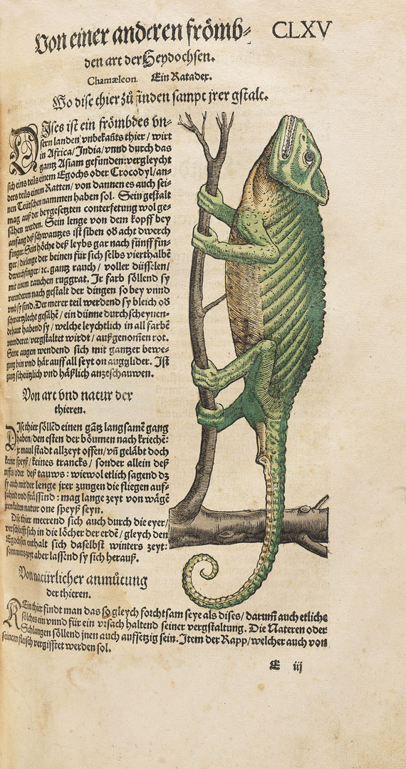 Conrad Gesner - Thierbuch. 3 Teile in 1 Bd. 1563. - Autre image