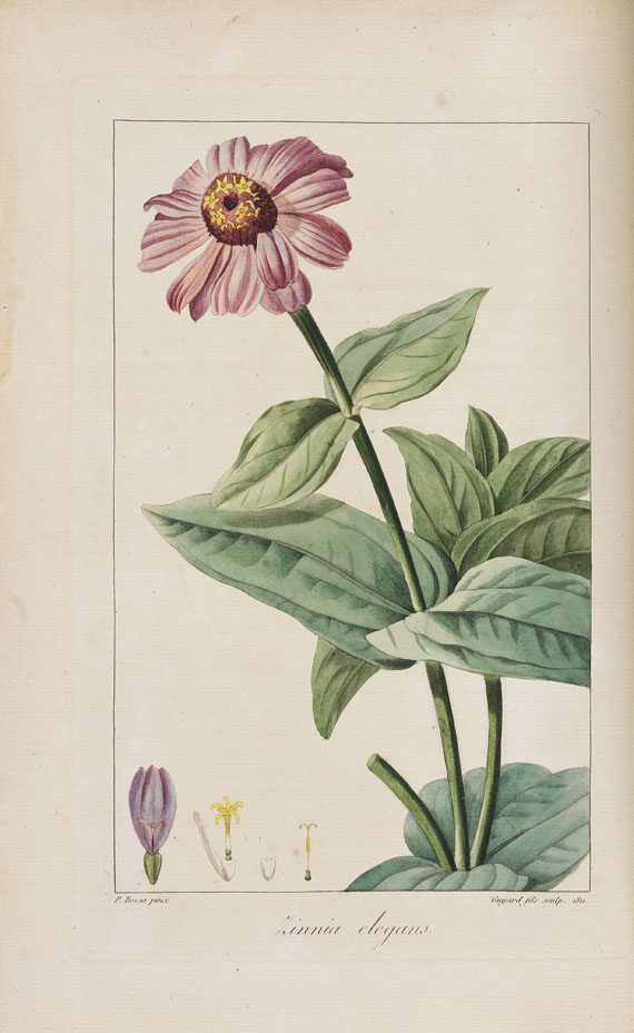 J. C. M. Mordant de Launay - Herbier général de l´amateur. 8 Bde. 1816-1827. - Autre image