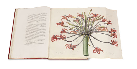 Pierre Joseph Redouté - Liliacées. 8 Bde. 1802-16. - Autre image